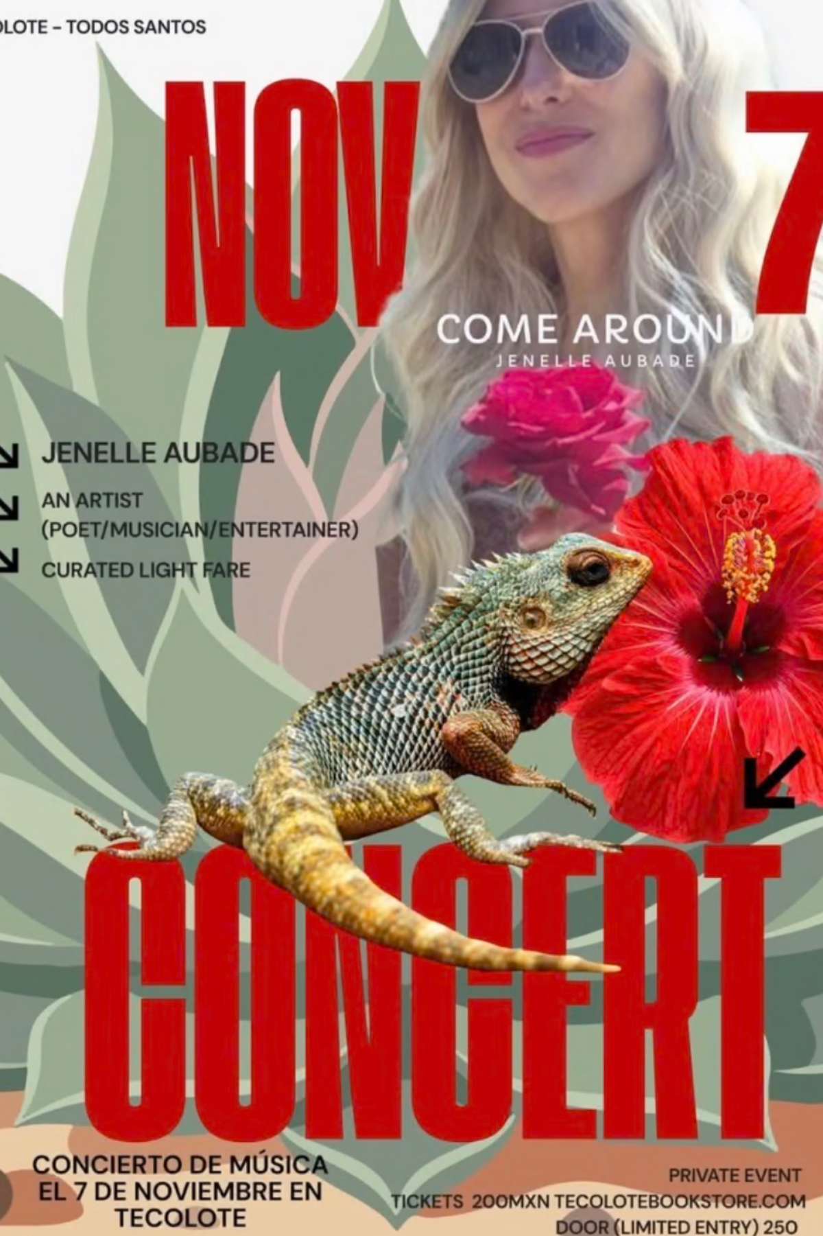 Come Around Concert